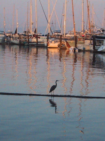 Tsehum Harbour