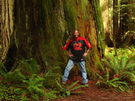 Somewhere deep in the Redwood Forest, March 09