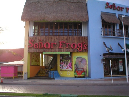 Senior Frogs Bar