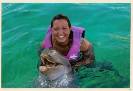 My 1st swim with the dolphins