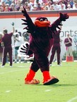 Hokie Bird