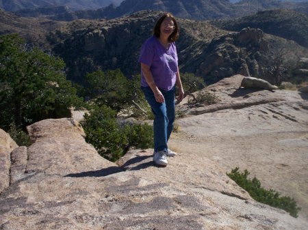 up on Mt. Lemmon, Arizona