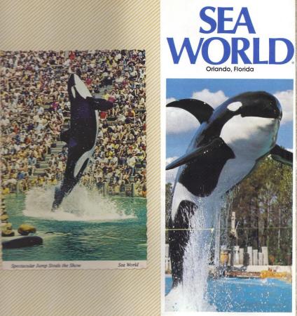 Senior Class Trip - Sea World - April 4, 1978