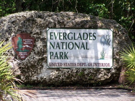 Everglades 022