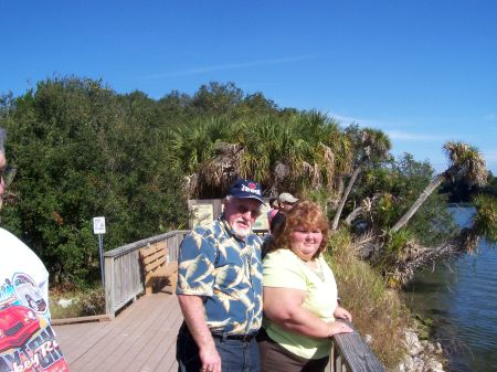 watching the manatee