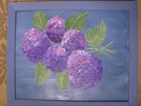 Hydrangea