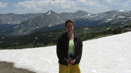 Cottonwood Pass area