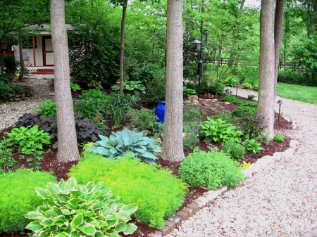 Our backyard garden in Pewee Valley, Ky