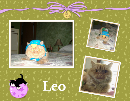 Leo