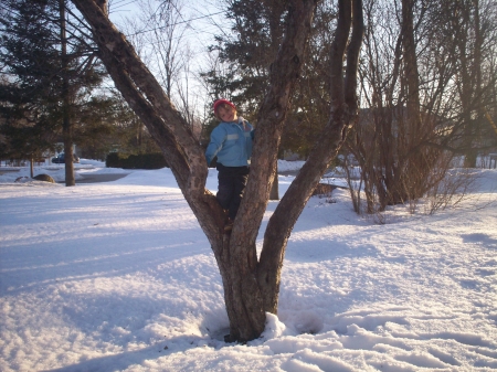 Madison up a tree
