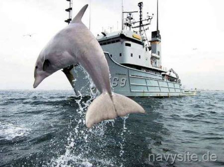 Navy Dolphin Program