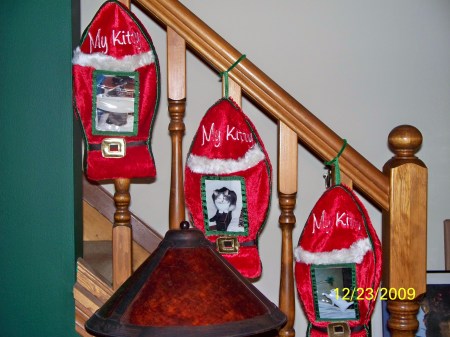 My Home X-Mas 2009 (The Cat's Stockings)