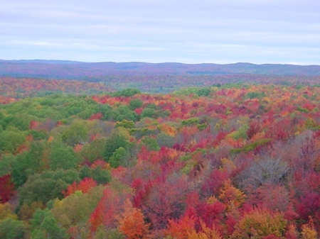 Landslide lookout