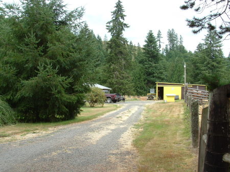 Drive way to barn