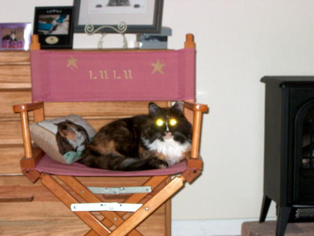 LULU in her Star Chair