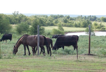 Farmland