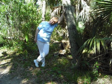 HOLDING UP A TREE