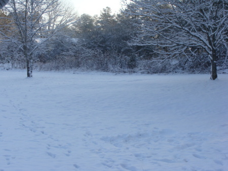 Winter Wonderland in Georgia 2010