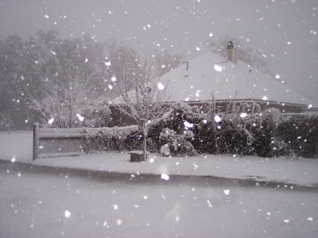 Sneaux Dazes 2008