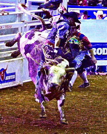 Austin Rodeo Bull Rider