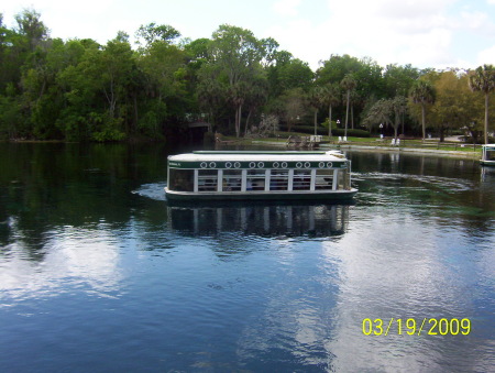 silver springs 019