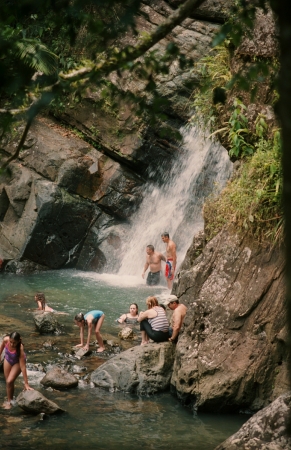 El Yunke rain forest