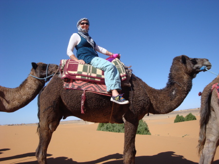 camel travel in Morocco 2009