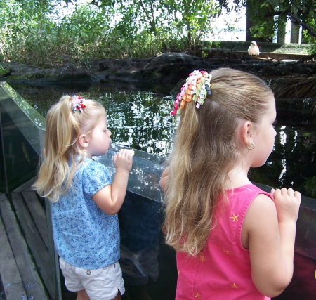 Aquarium visit