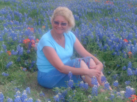 Texas Bluebonnets!