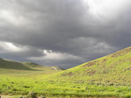 View from back yard