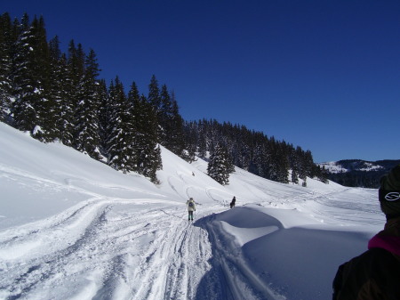 beautiful view - skiing near Chama