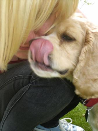 Gab with Lancelot my Cocker Spaniel 2009