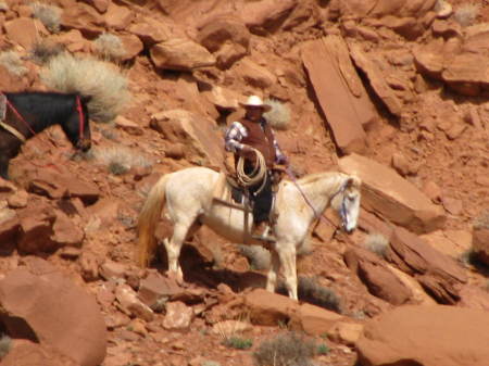 A real, live cowboy in Monument Valley