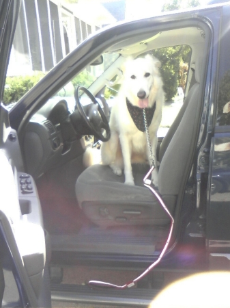 Nakita driving my suv