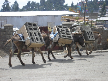 ethiopian 12 wheeler