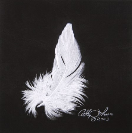 Egret Feather