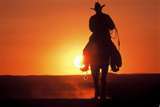 sunset cowboy 3