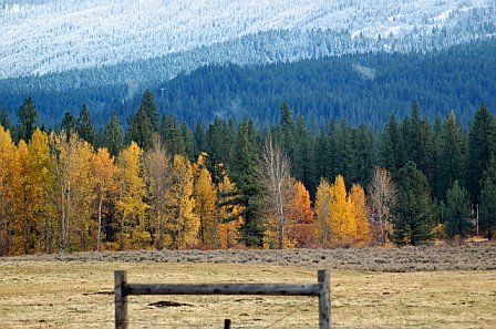 Graeagle, California.