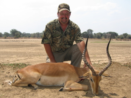 Impala from Zambia