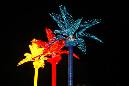 Lighted Palms