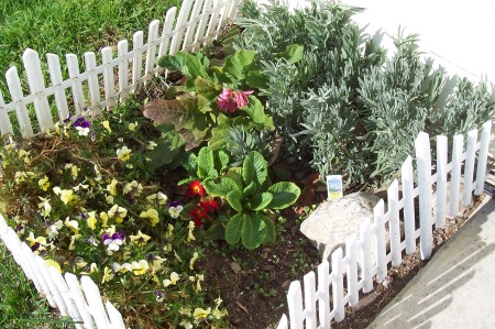 Flower bed in December