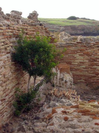 Ruins at Nora