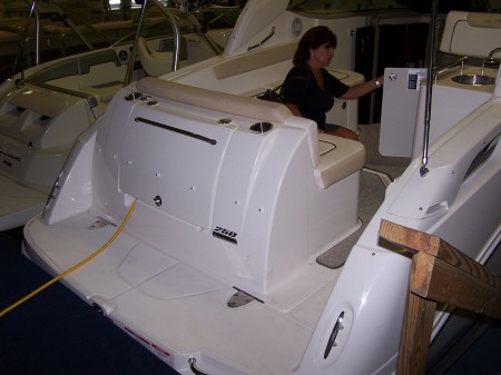 Our new 2009 SeaRay 250/SeaCruiser