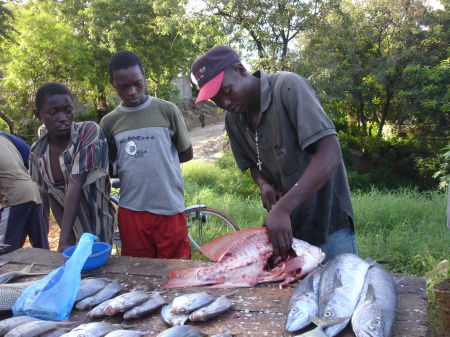 Fish Market Tanzania