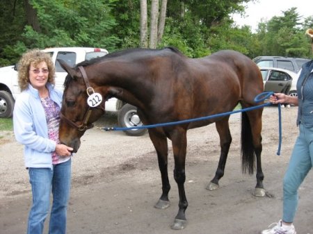 At a horse show