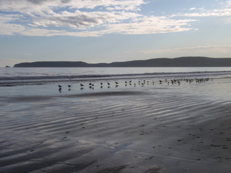 Drakes Bay, Point Reyes