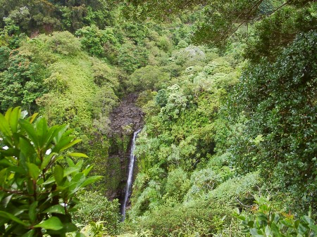 Hiking in Maui