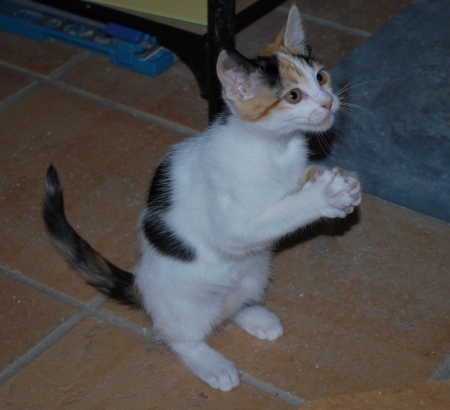 Clementine saying her prayers