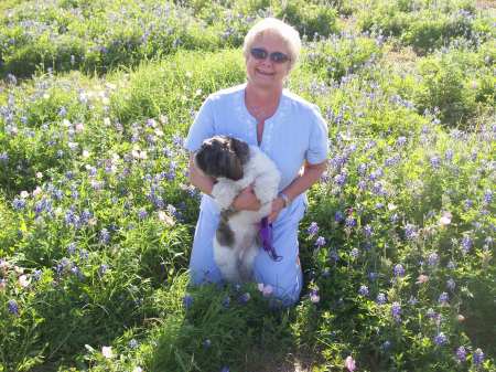 Bluebonnets Doby and Phyllis