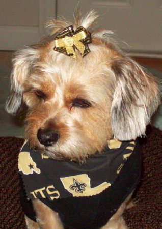 DAISY SAYS "GEAUX SAINTS!!!"